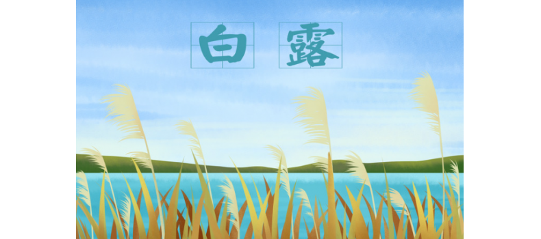白露來臨，如何有效預(yù)防池塘變化？