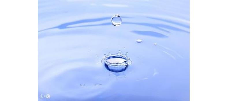 養(yǎng)蝦先養(yǎng)水！養(yǎng)水的關(guān)鍵核心原來是它！
